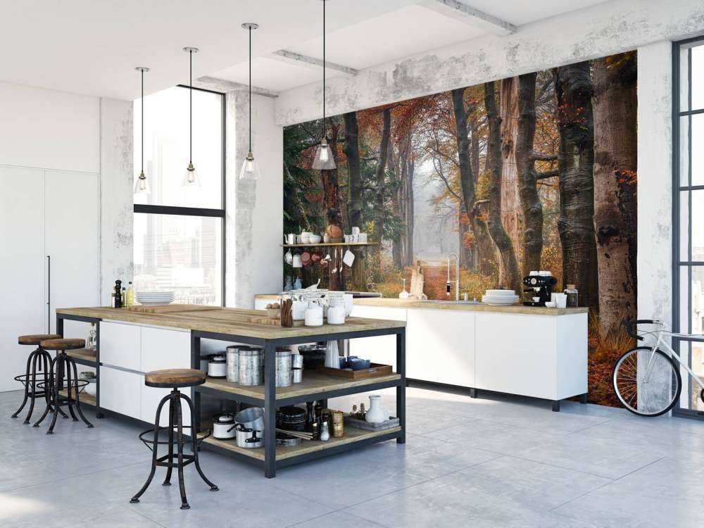 Forest path with old trees