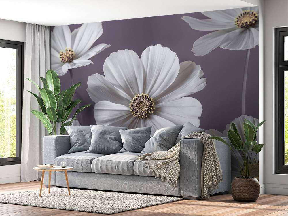 Cosmos flowers