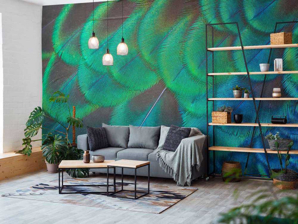 Close-up of peacock feathers