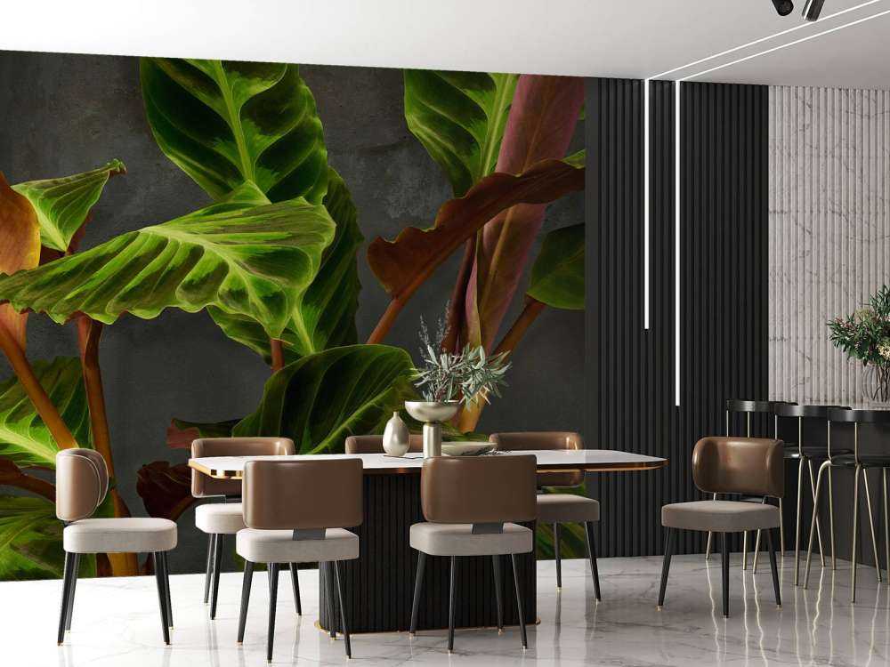 Plant with beautiful green leaves