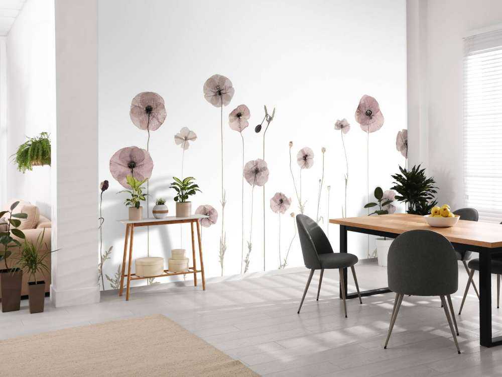 Poppy flower field vintage