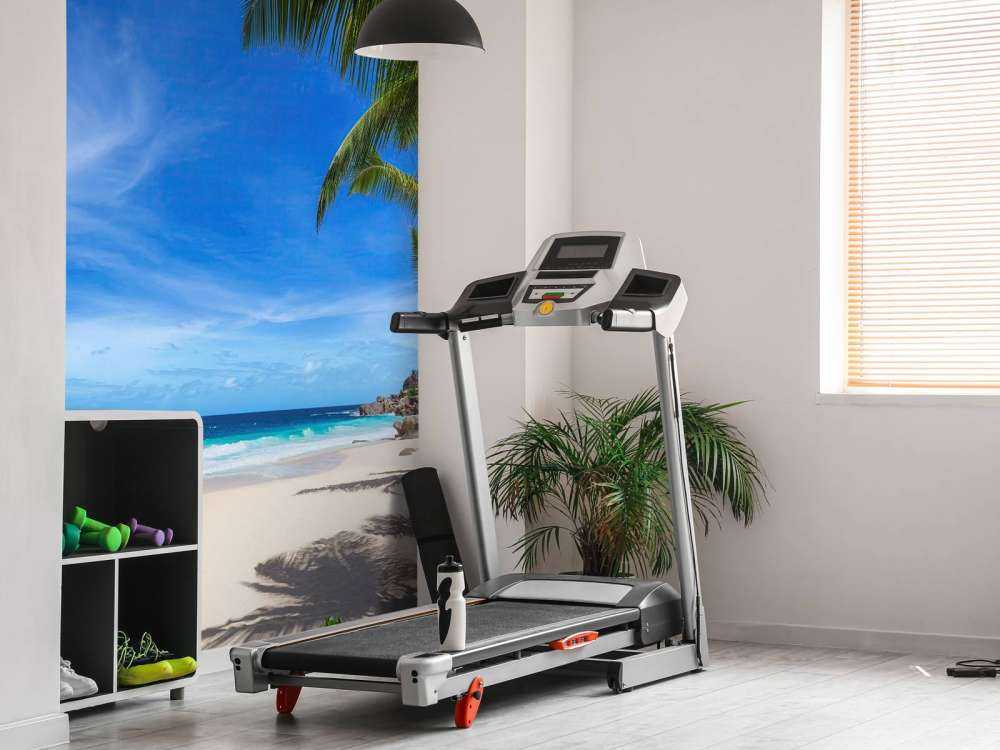 Tropical beach with palm tree