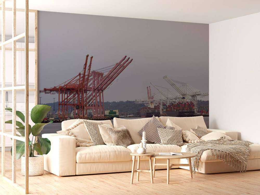 Hijskranen in de haven