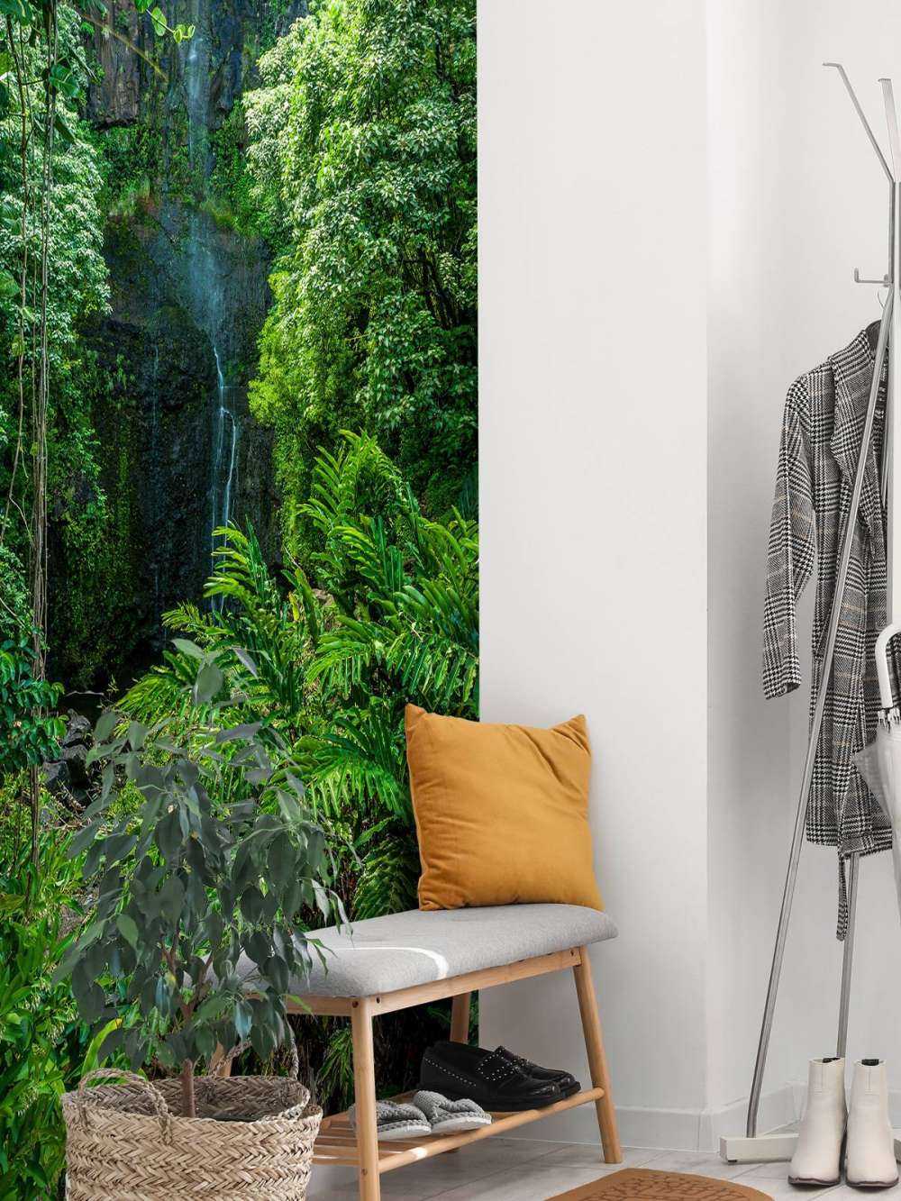 Jungle and stones