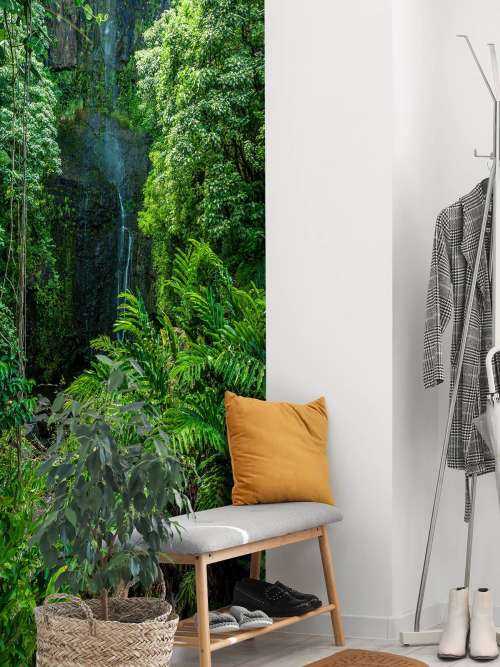 Jungle and stones