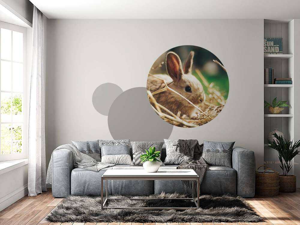 Rabbit in straw