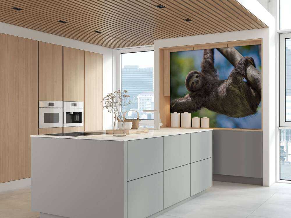 Cheerful sloth
