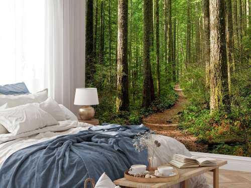 Path in the forest