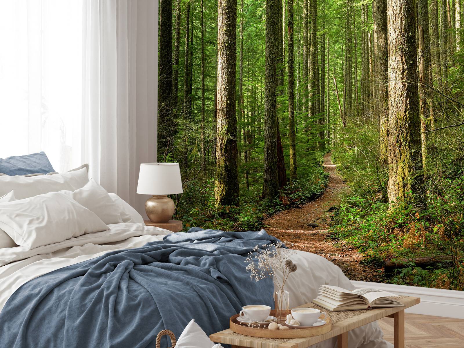 Path in the forest