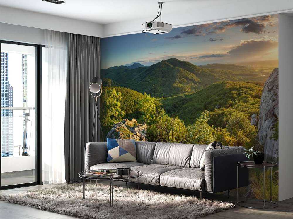 Mountain forest