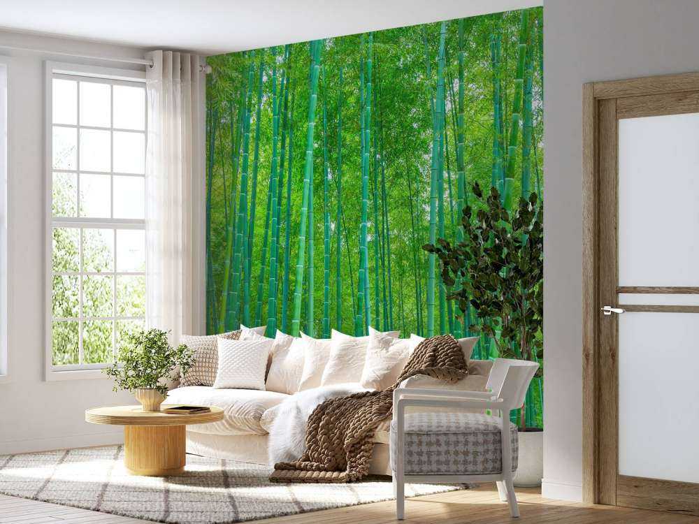A green bamboo forest