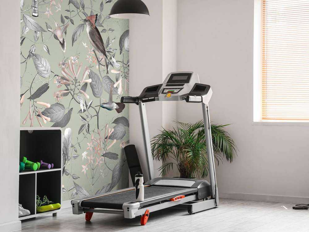 Tescoma Bird Paradise - Ash Grey