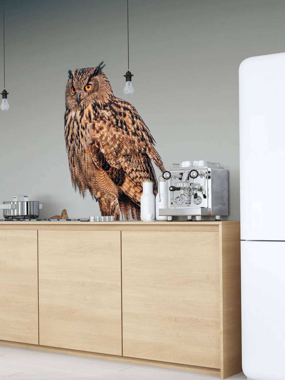 Eagle owl