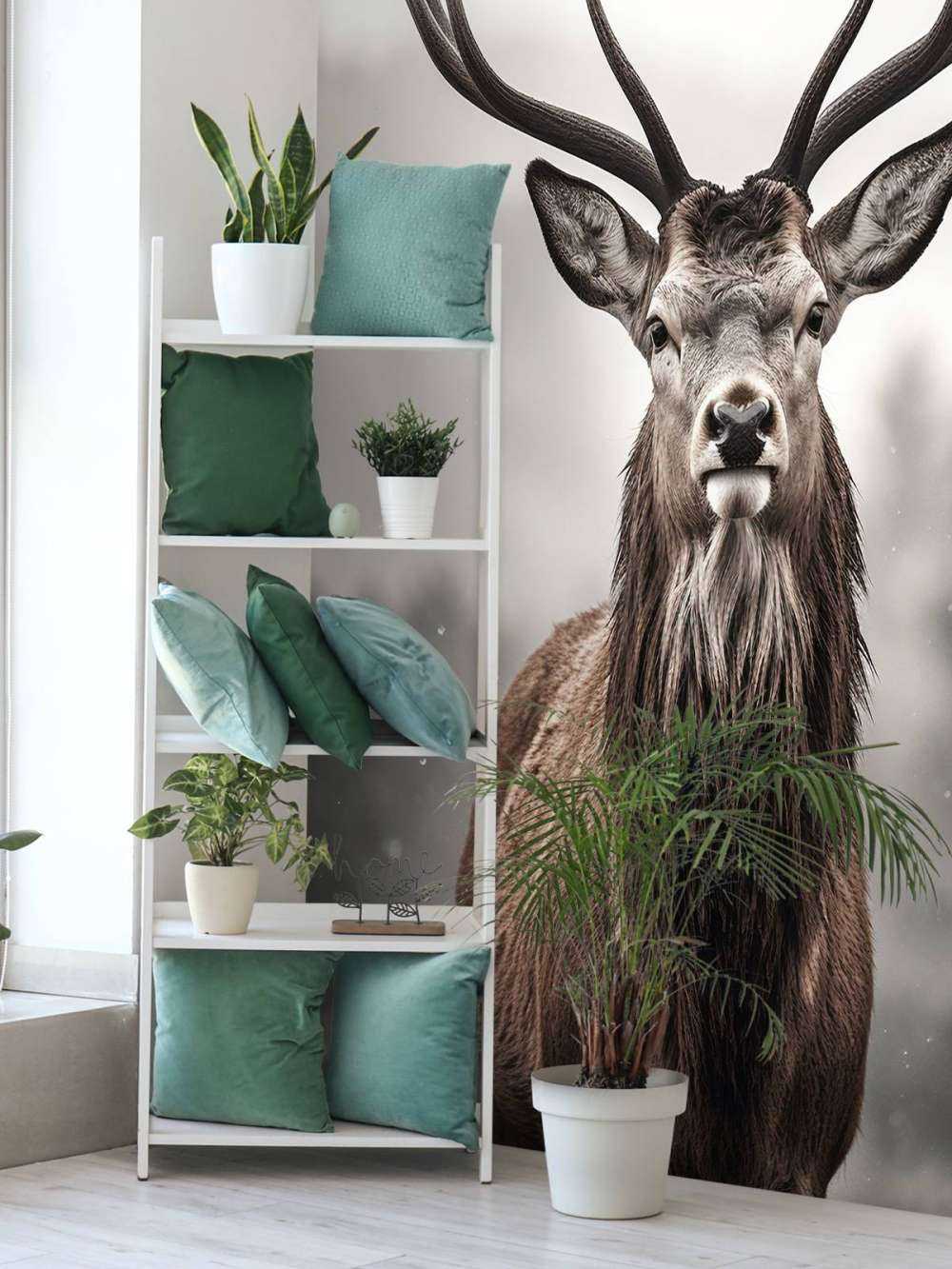 Winter King Deer Gaze