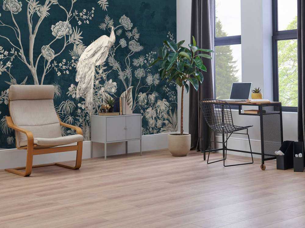 Peacock Splendor in the Night Garden