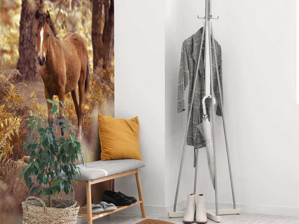 Horse in the wilderness