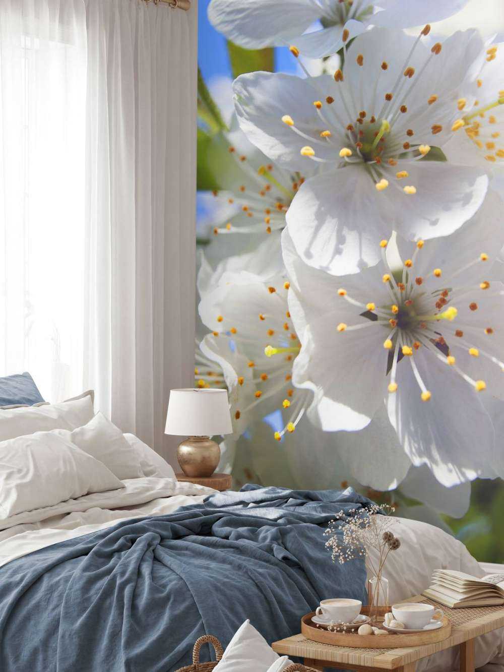 Close-up white blossoms