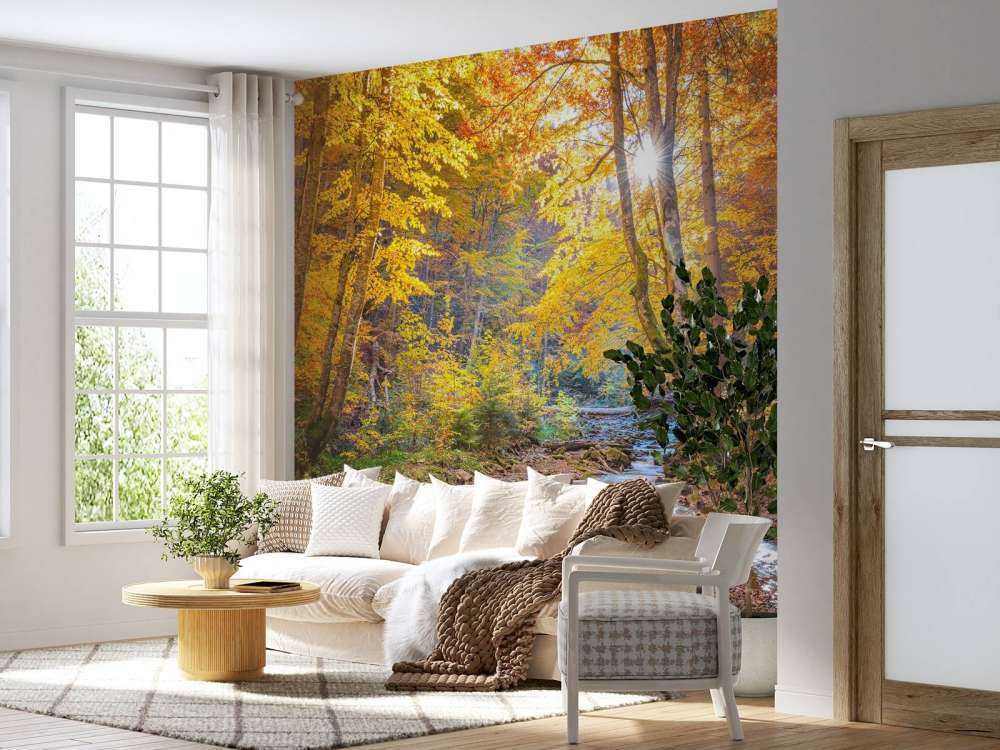 Autumn in wild forest