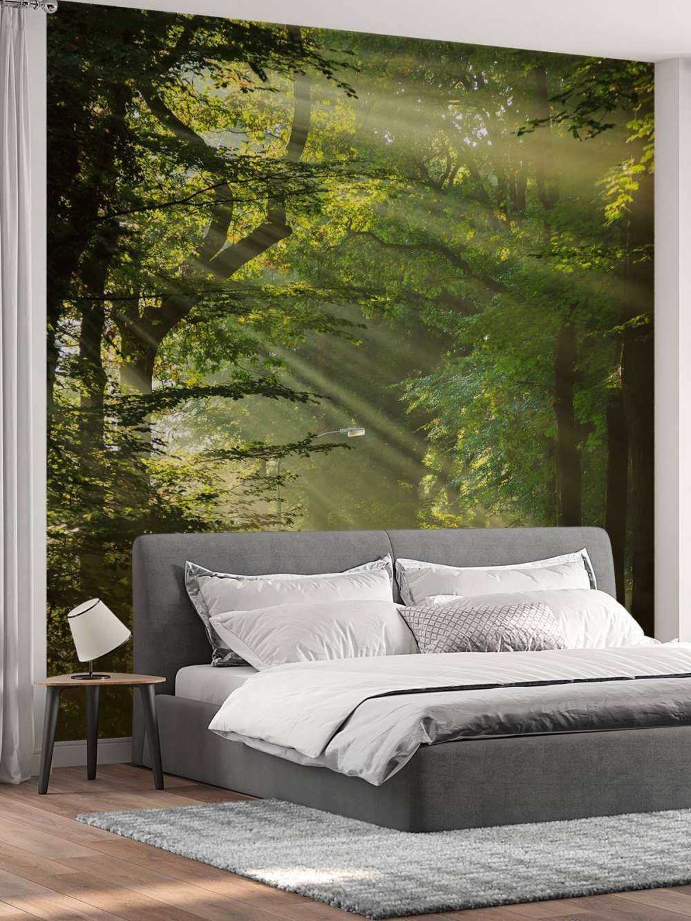 Sunbeams through the trees