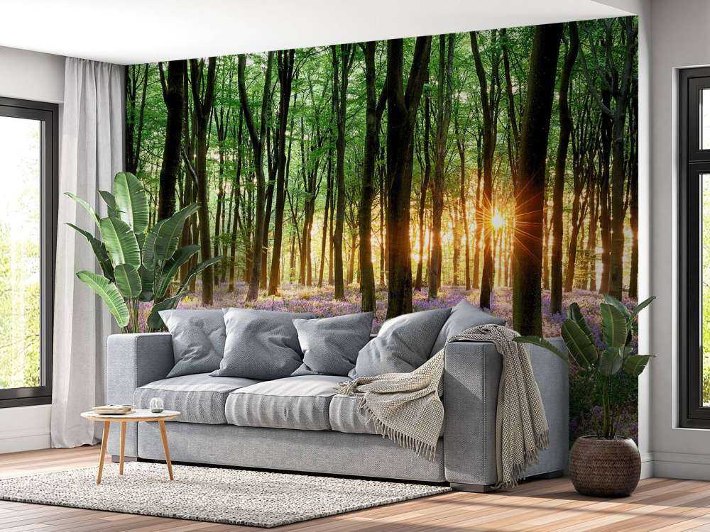 Forest path at sunrise