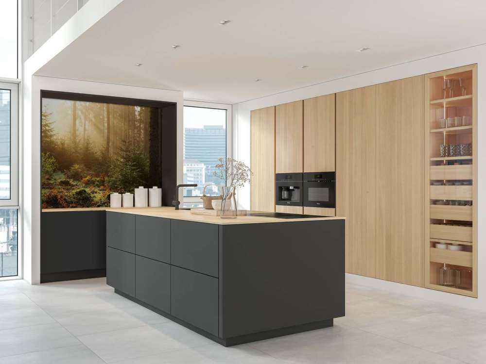 Sunbeams through forest