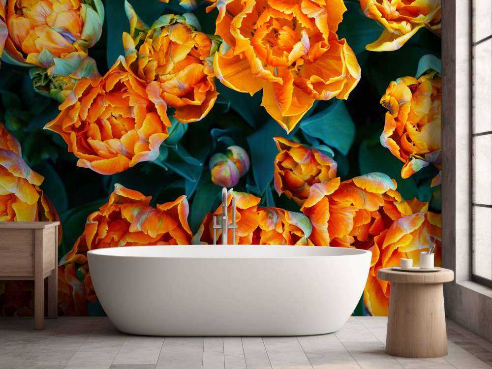 Close-up orange tulips