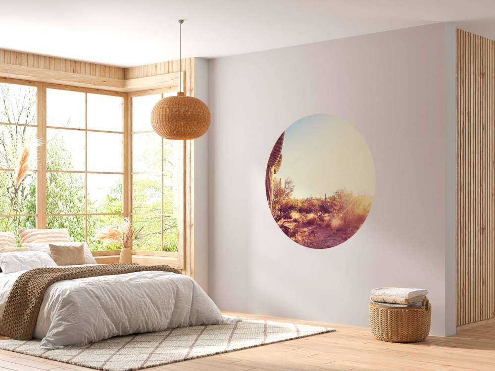 Cactus in the desert