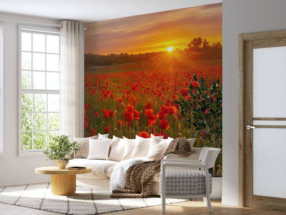 Flowering poppy field