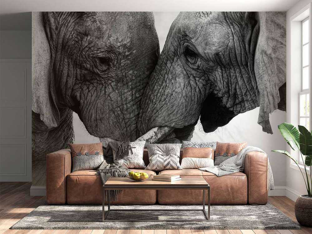 Photo wallpaper elephants