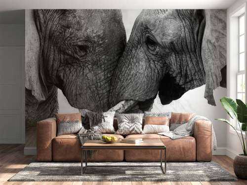 Photo wallpaper elephants