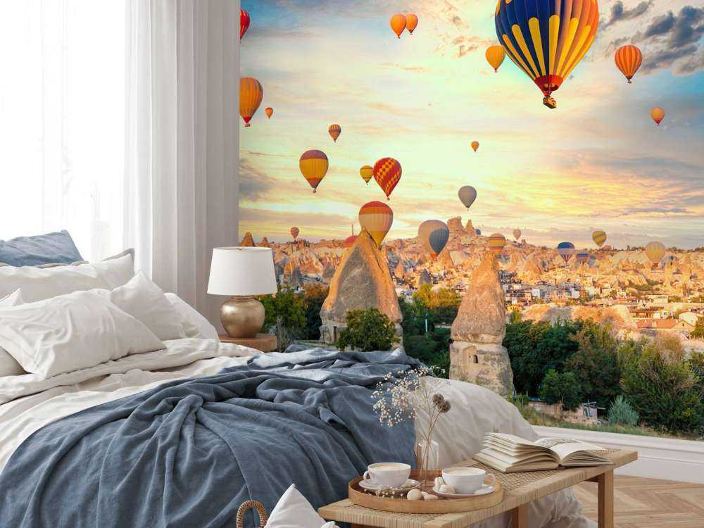 Beautiful hot air balloons