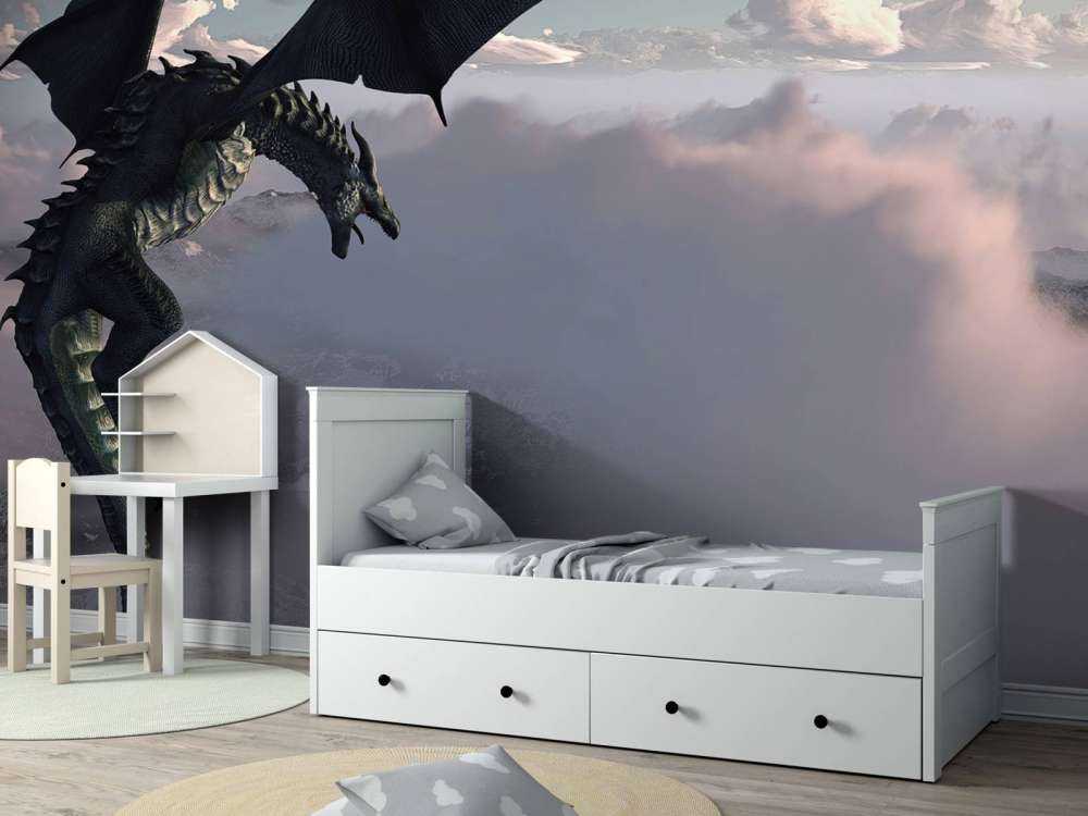 Dragon above the clouds