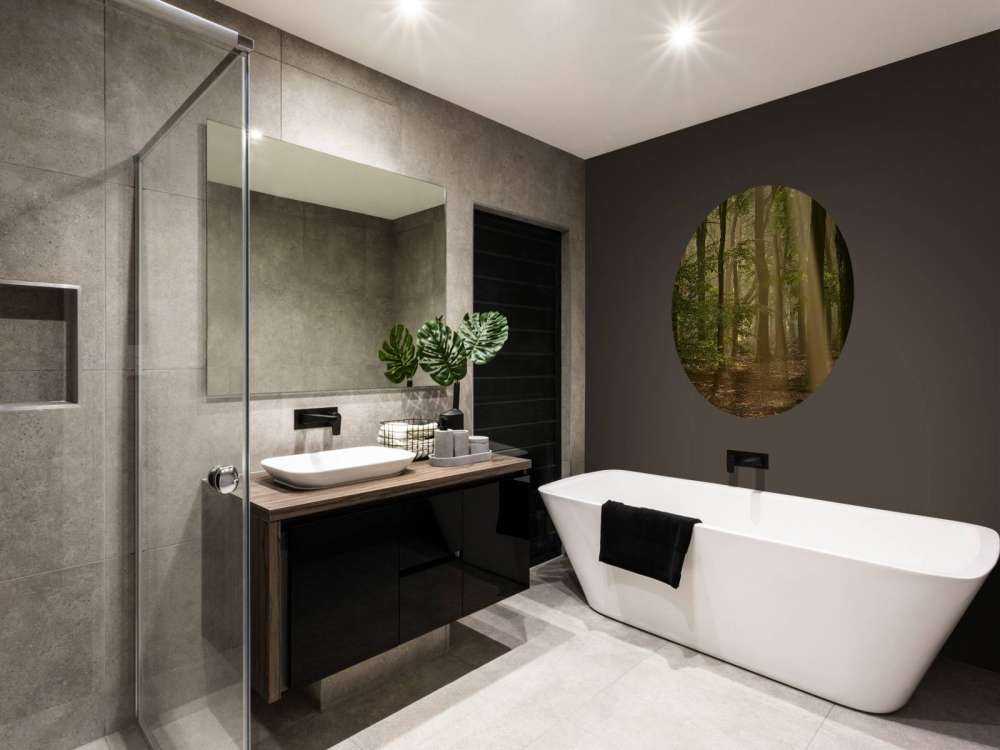 Old forest with sunharps