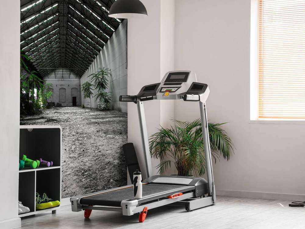 Industrial hall with plants