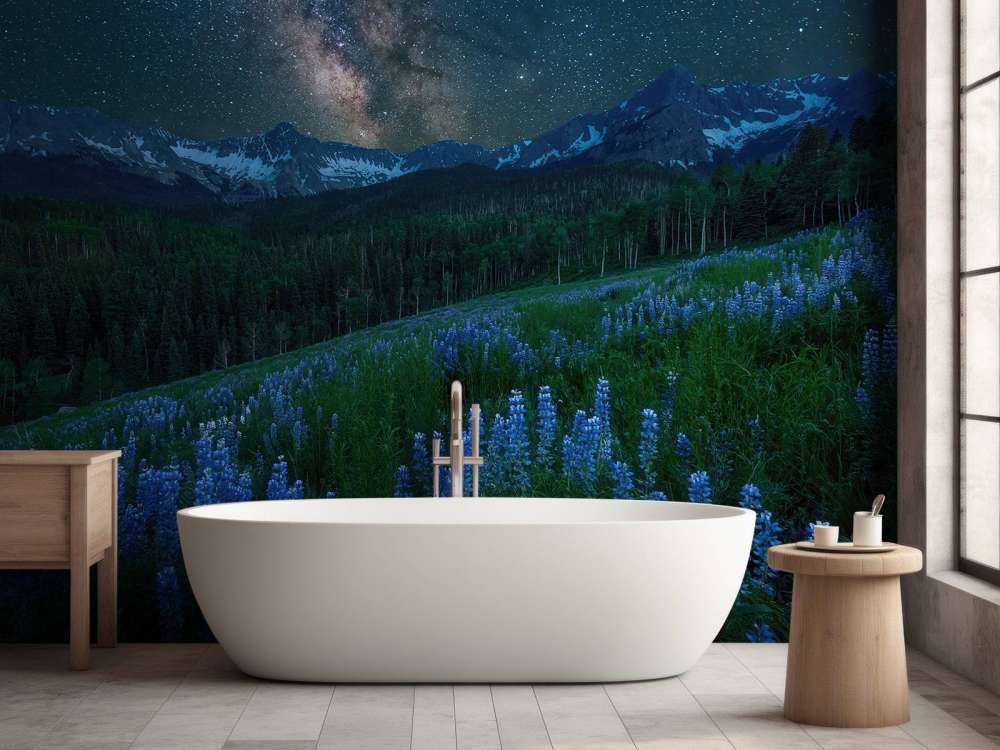 Milky Way over Lupine Slope