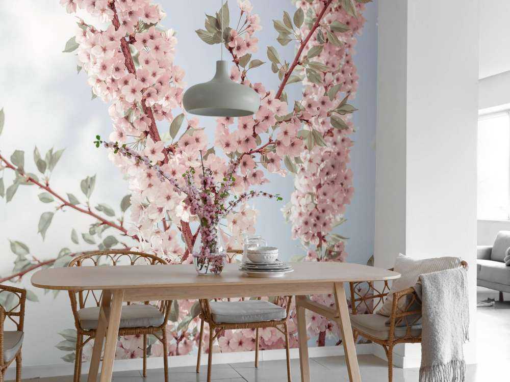 Blossom flowers from below