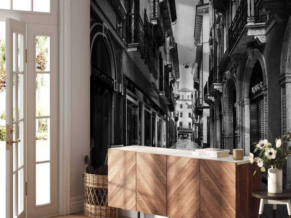 Shopping street in black and white