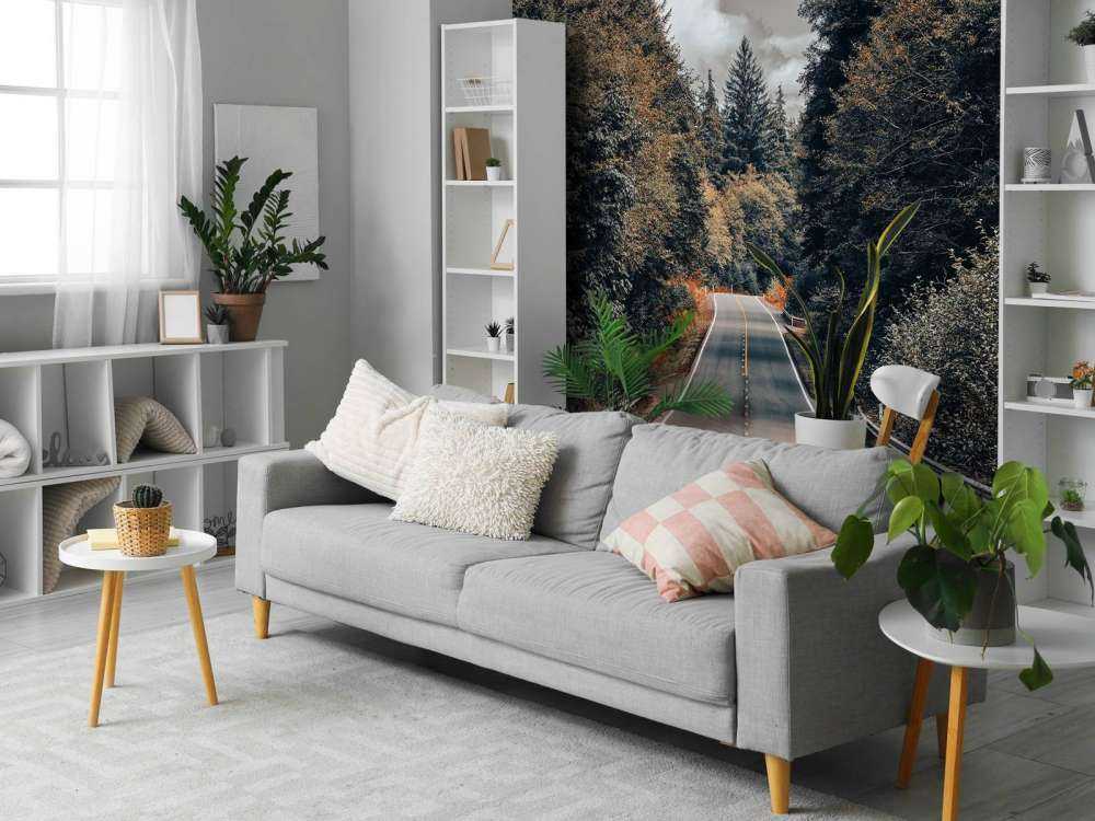 Forest along an American road