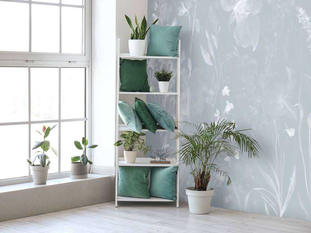 The softness of heart - gray