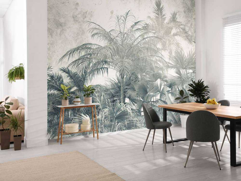 Mystical rainforest