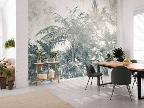 Mystical rainforest