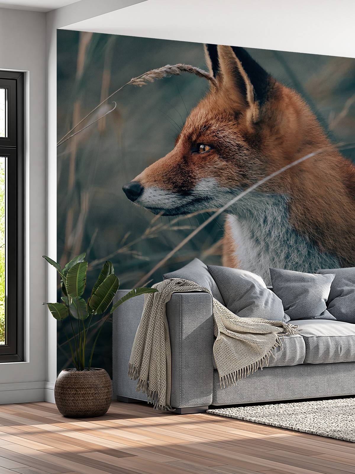 Fox in the dunes