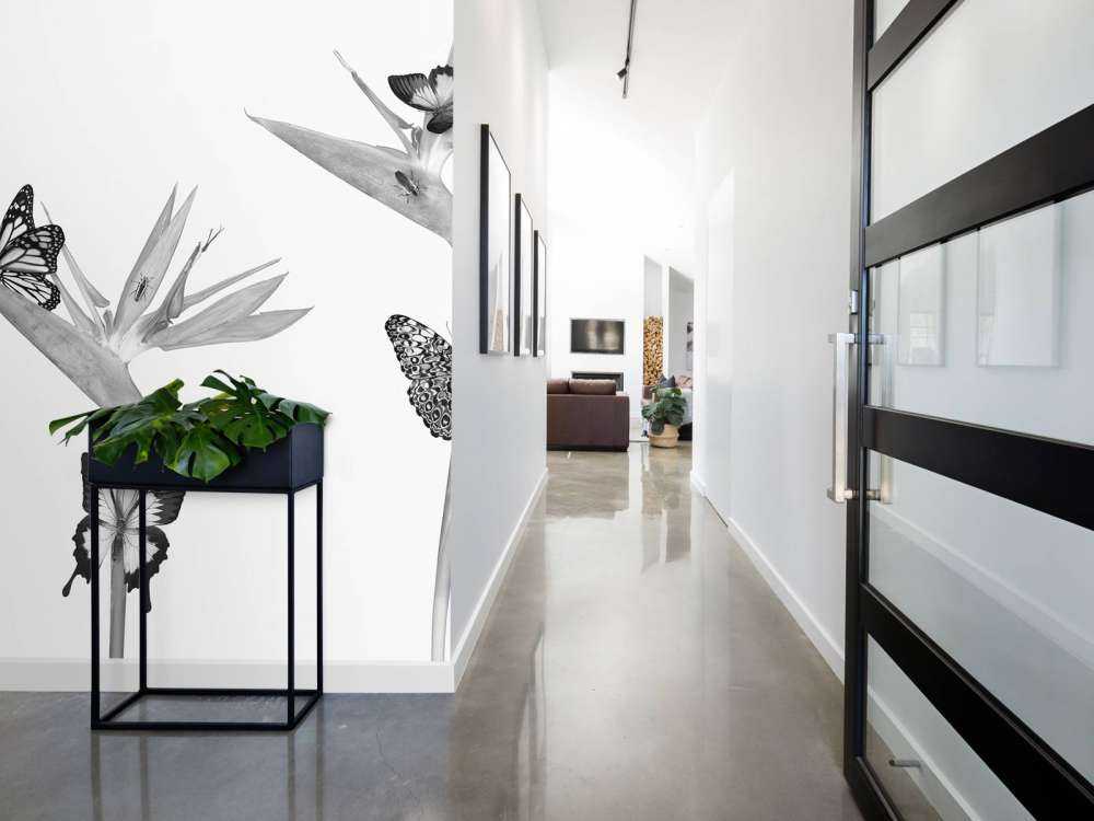 Butterflies on bird of paradise flowers