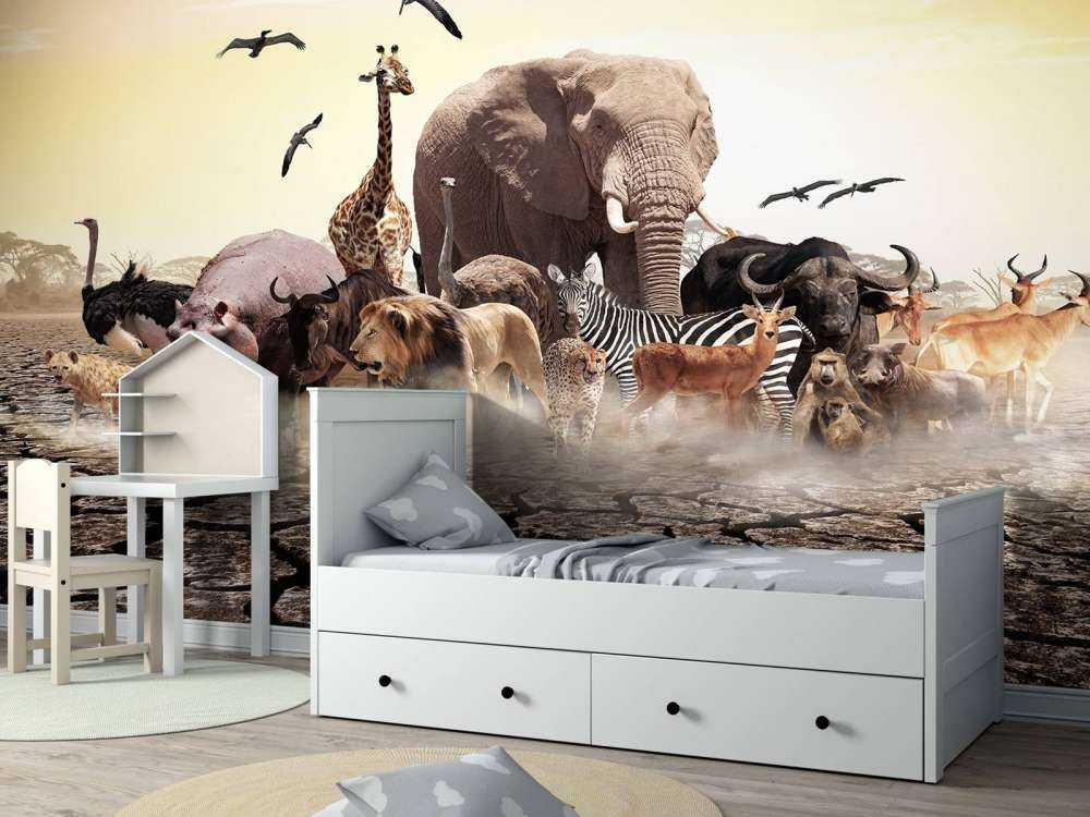 Animals in Africa