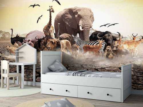 Animals in Africa