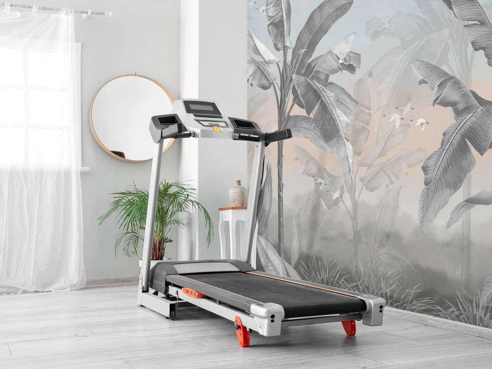 Tropical banana trees