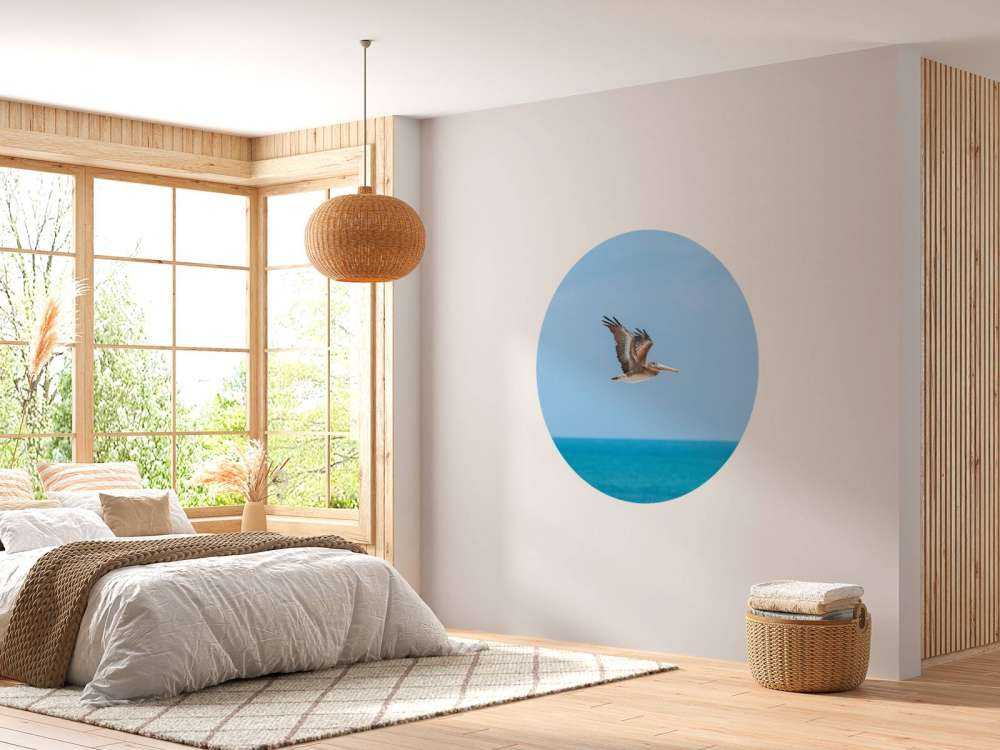 Flying pelican