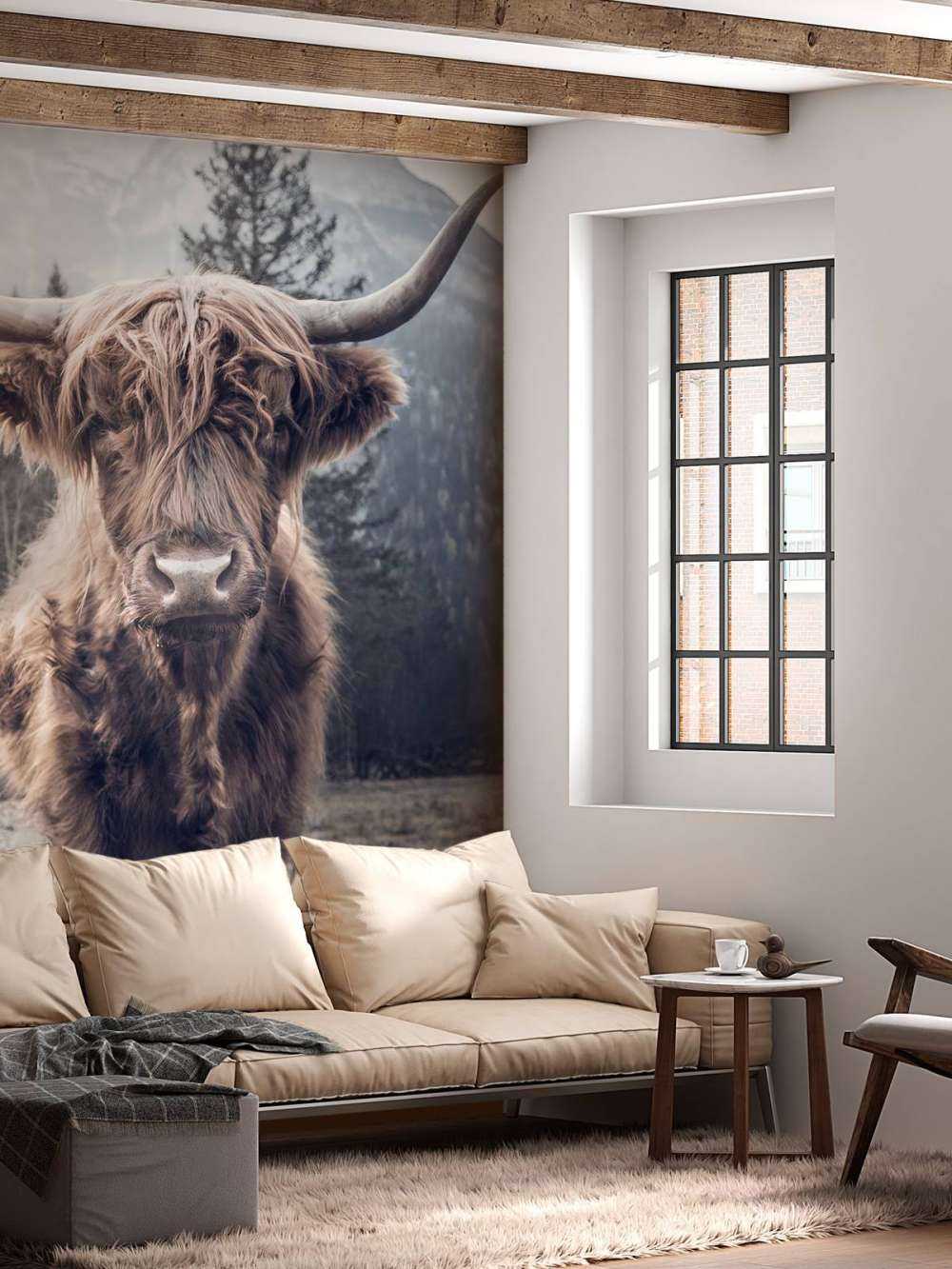 Scottish Highlander by the forest