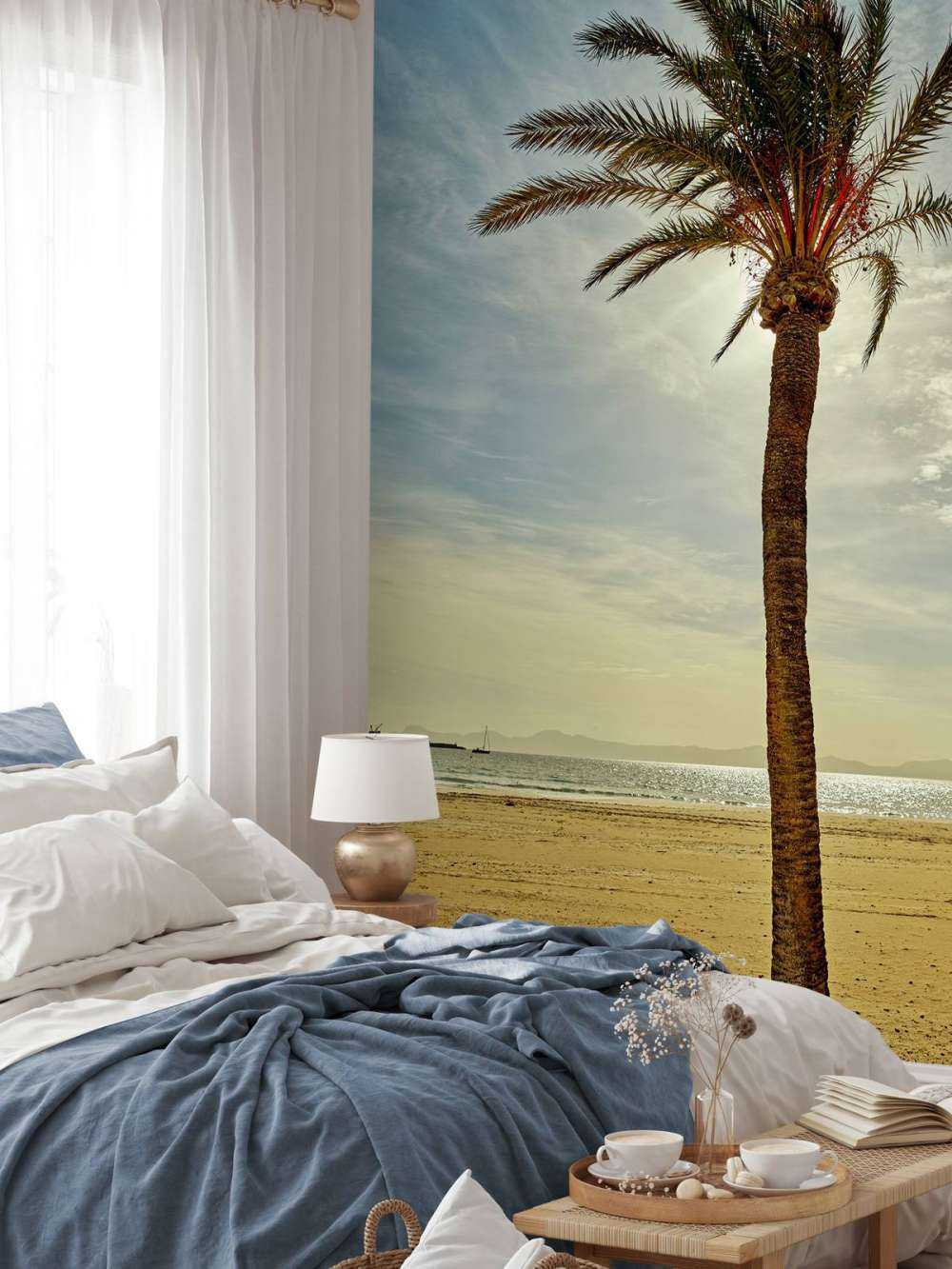 Palm tree in the sun