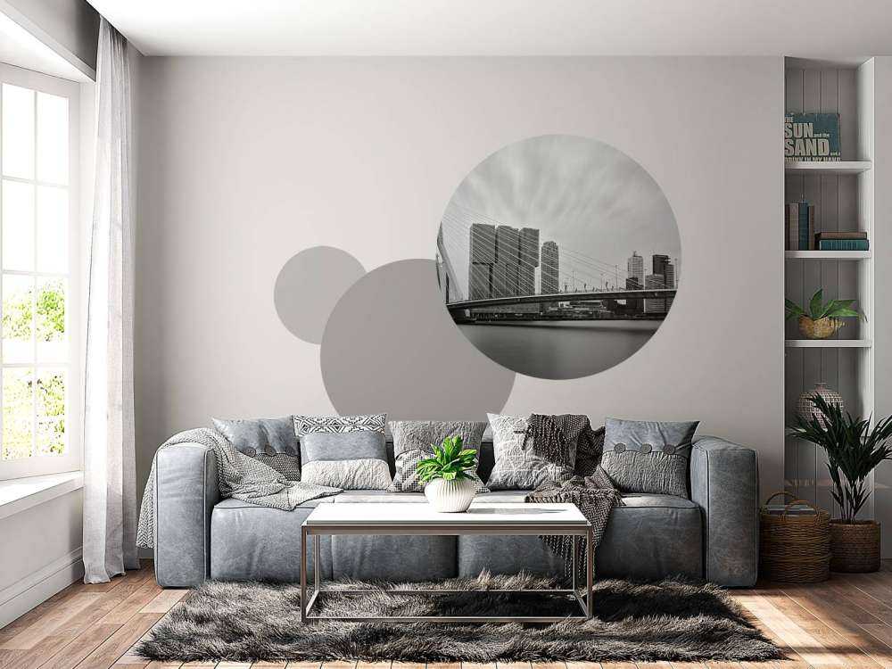 Erasmus bridge black and white